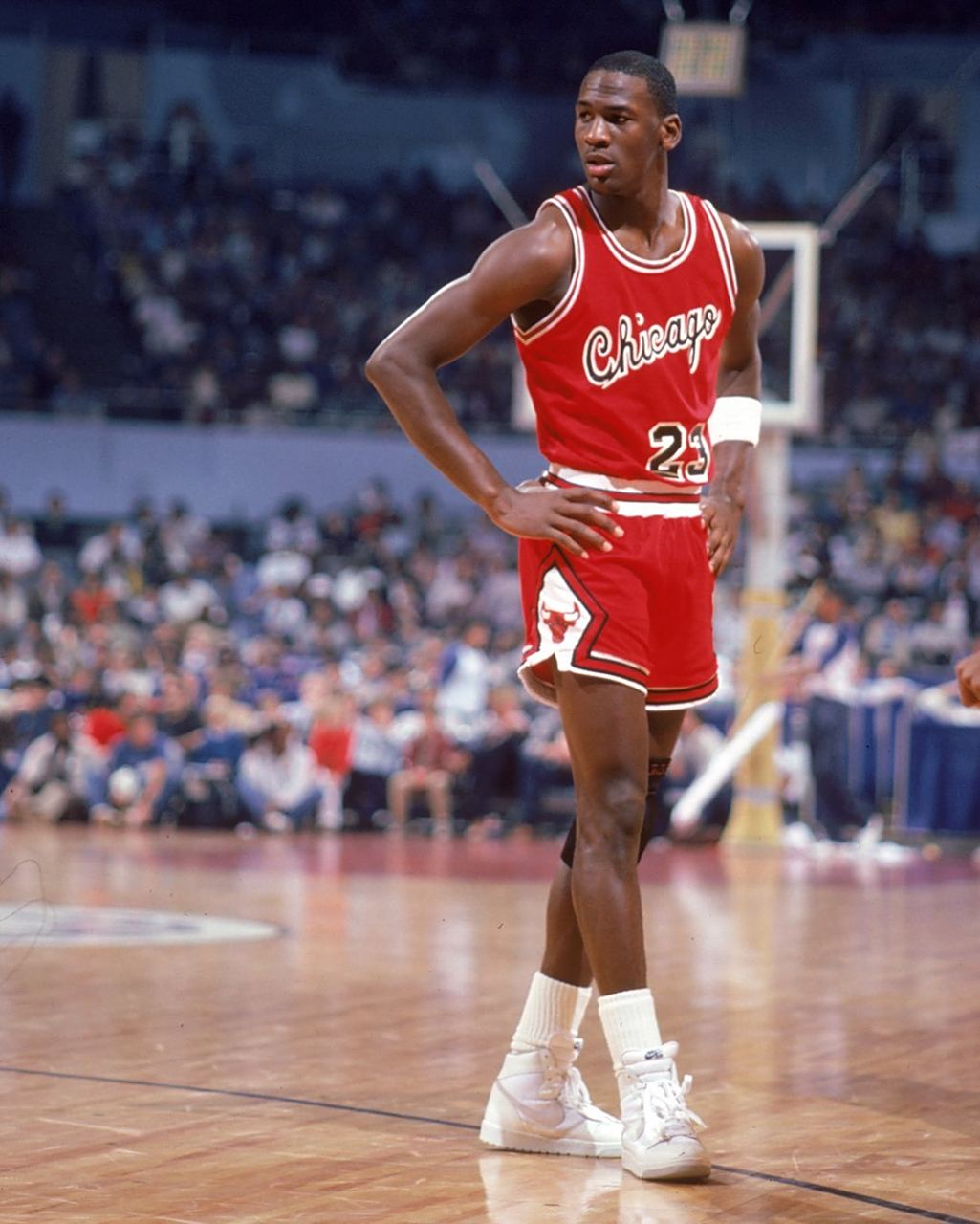 辽宁队赢得 辽宁队赢得